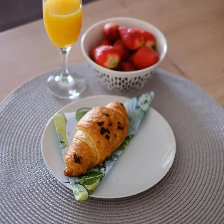 公寓 Mb Luxury 扎达尔